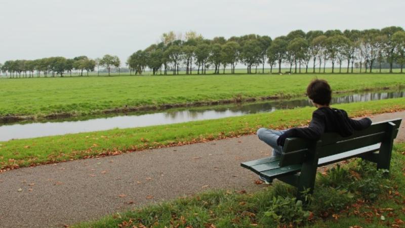 man alleen kijkt uit over een weiland