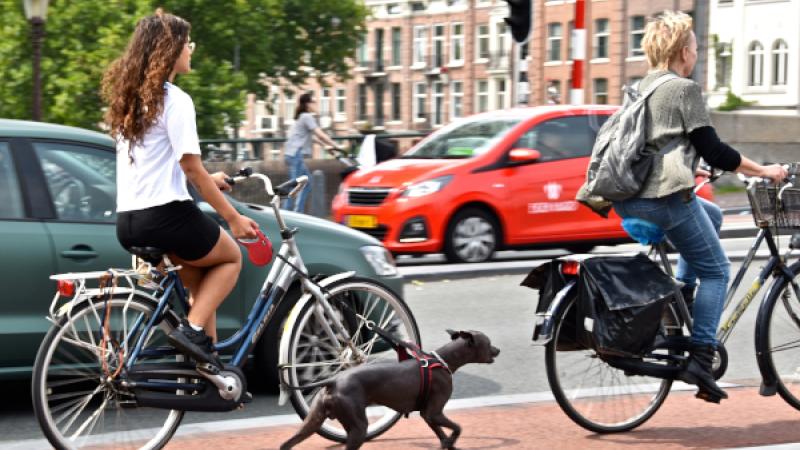 Fietser met hond