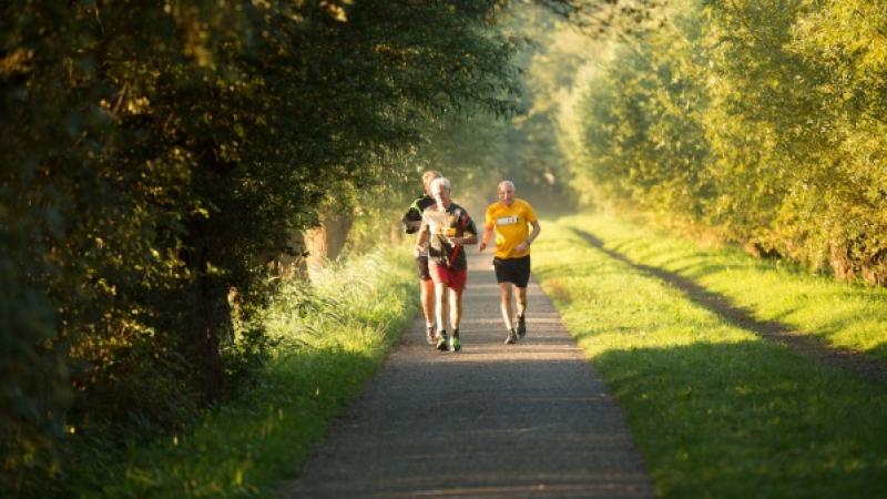 trimmende mannen in het bos