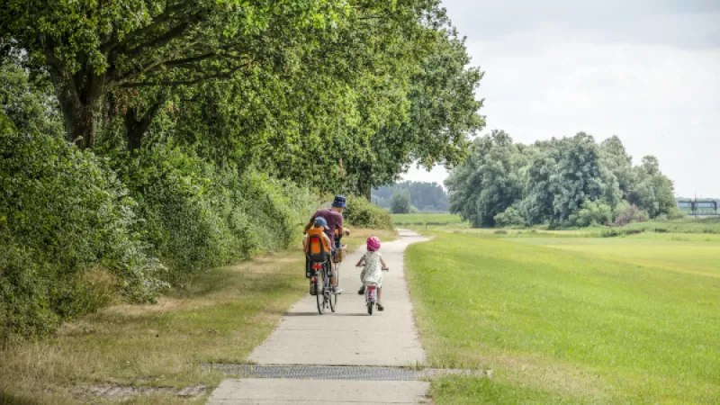 Ouder en kind fietsen in de natuur