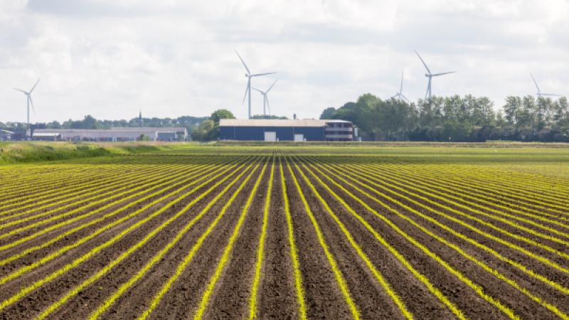 Landbouw met een boerderij op de achtergrond