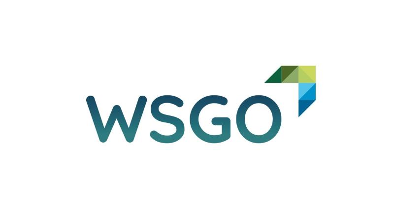 wsgo logo
