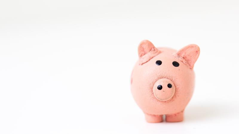 spaarvarken financiën