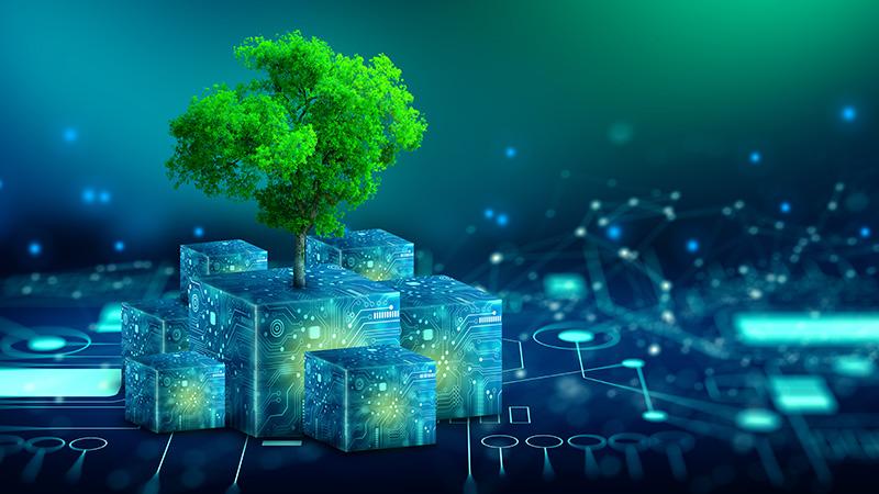 3D model met boom tussen data