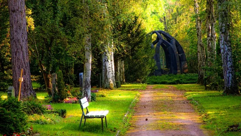 Begraafplaats in een bos: graven tussen bomen, op de voorgrond een leeg bankje, op de achtergrond een kunstwerk