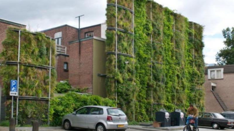 Muur begroeid met planten