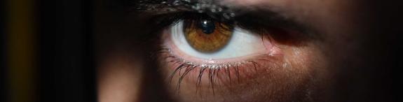 Oog