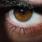 Oog