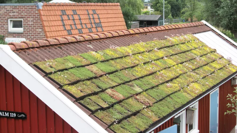 Groene dakpannen Amstelveen