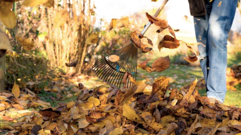 Tuinafval bij elkaar harken