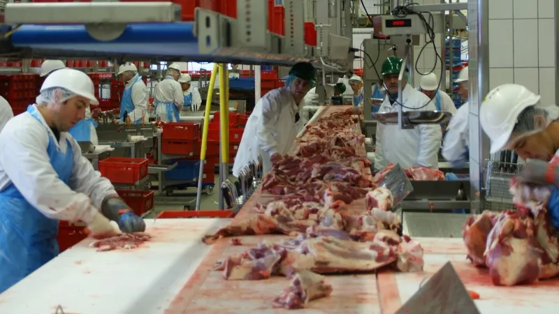 Mensen aan het werk in een vleesfabriek