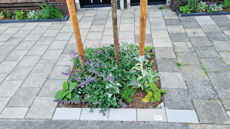 Guerilla gardening Leiden