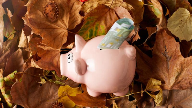 Geld-herfst
