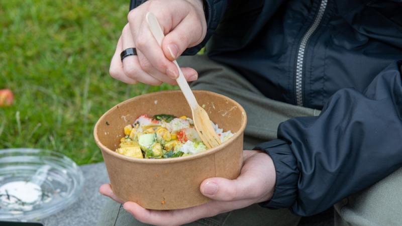 Close-up van iemand die op een picknickkleed salade eet
