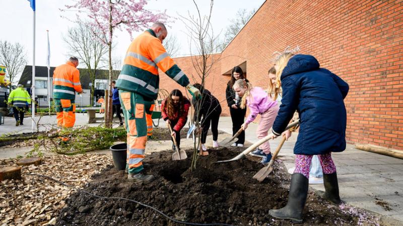 Boomfeestdag Zwijndrecht
