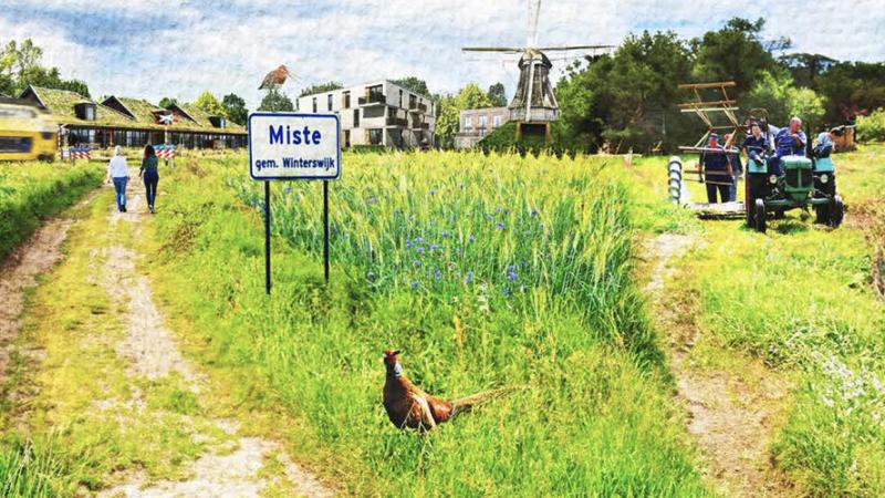 buurtschap Miste in Winterswijk
