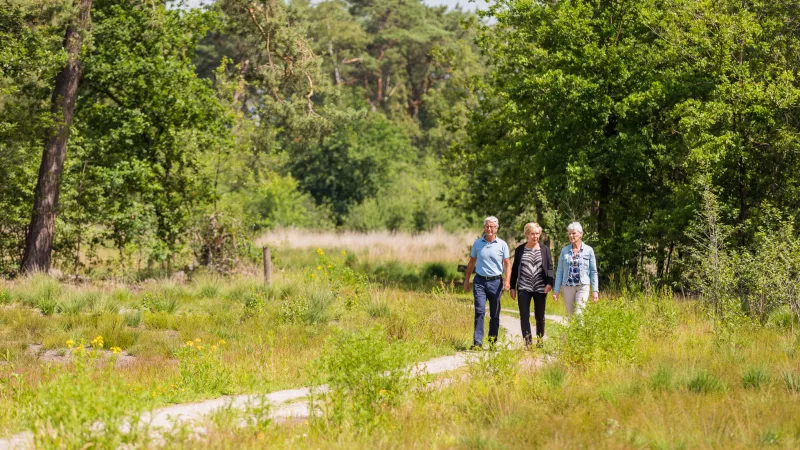 man en twee vrouwen wandelen in zomerse kleding op een pad door natuurgebied (heide en bossen)