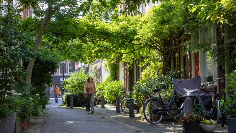 Straat met veel groen