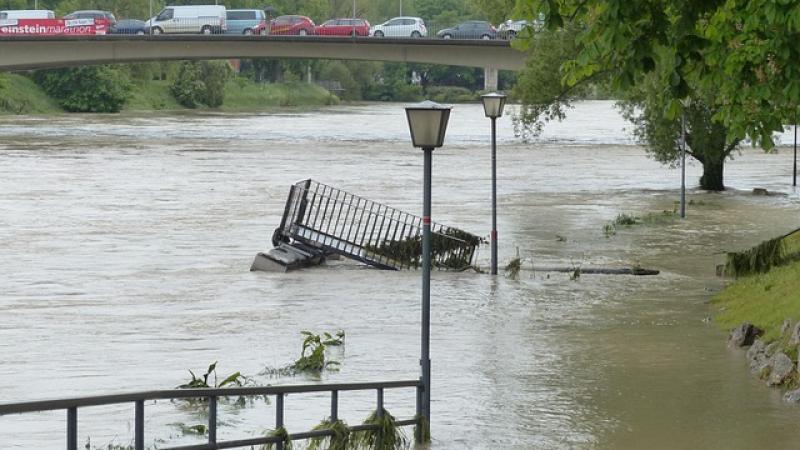 overstroomde rivier in een stad, op de voorgrond een overstroomde weg en lanterenpalen en een boom in het water, op de achtegrond een brug met auto's in een file