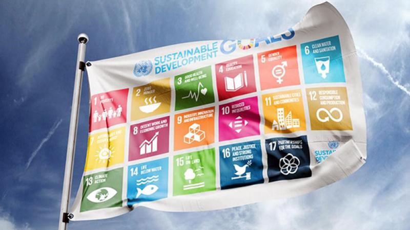 Vlag met de 17 global goals erop