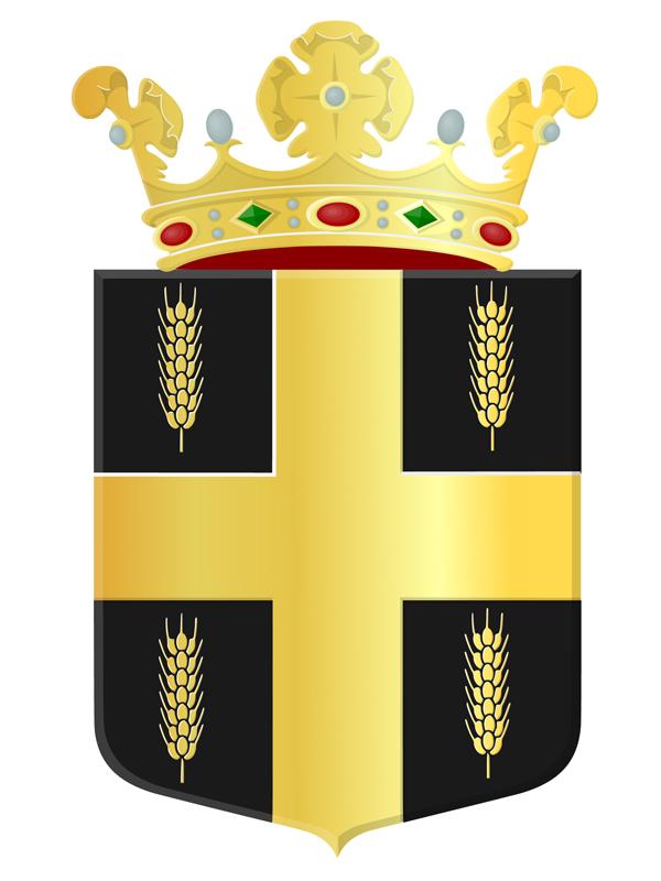 Gemeentewapen Raalte