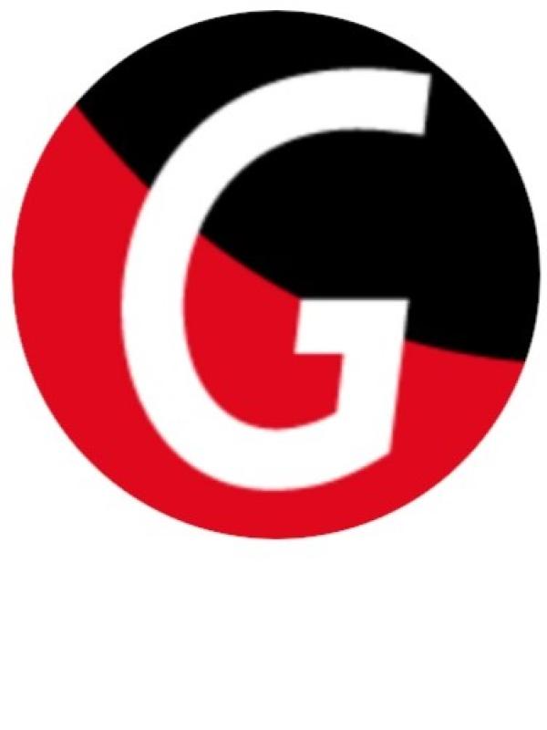 logo gemeente groningen