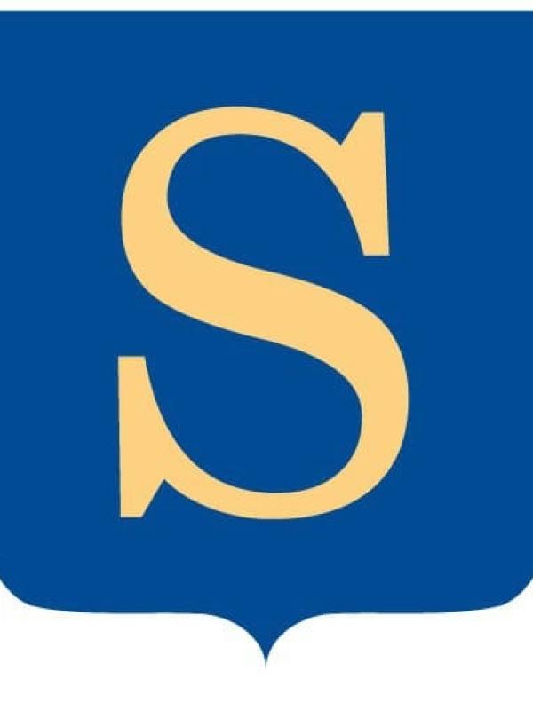 logo Laren
